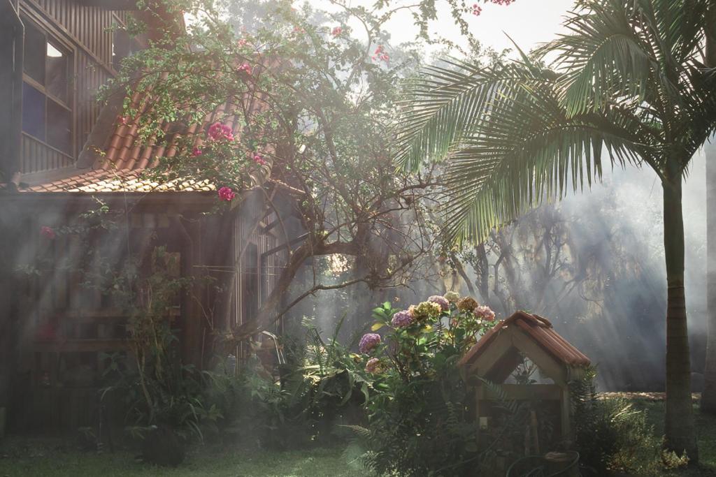 Casa Da Floresta Otel Guarda do Embaú Dış mekan fotoğraf